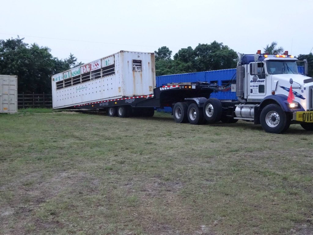 World Wide Livestock EXPRESS, Inc.