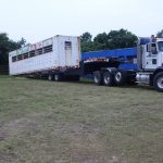 World Wide Livestock EXPRESS, Inc.