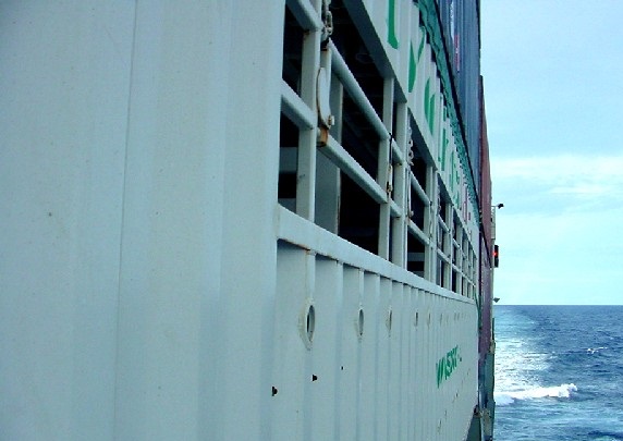 World Wide Livestock EXPRESS, Inc.