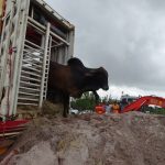 World Wide Livestock EXPRESS, Inc.